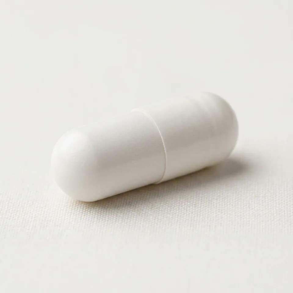 Digestive Enzymes